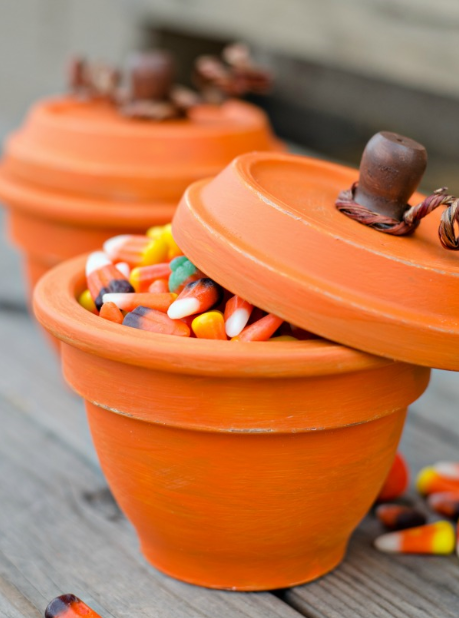 Pumpkin Terracotta Pots